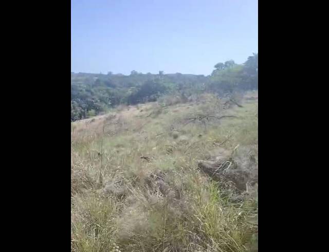 LAND FOR SALE IN PALM BEACH